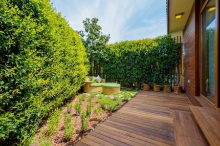 Terrasse en bois &agrave; Aytr&eacute;, quel essence choisir pour durer ?