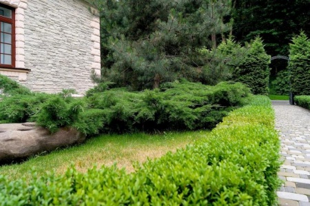 Cr&eacute;er un jardin avec massifs demande de penser &agrave; la fois structure et plantations